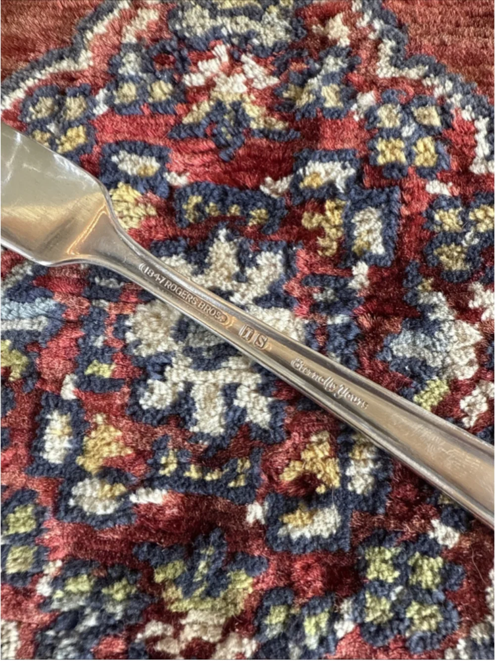 1847 Rogers Bros Eternally Yours Master Butter Knife Spreader Silverplate IS